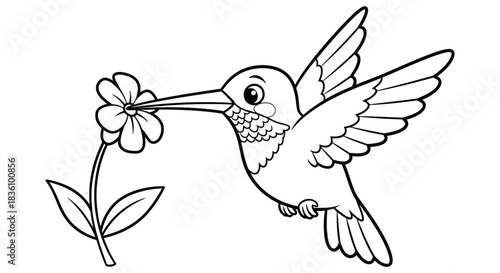 Hummingbird Feeding on a Flower Coloring Page