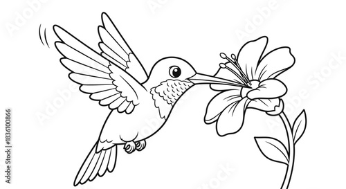 Hummingbird Sipping Nectar from Flower Line Art