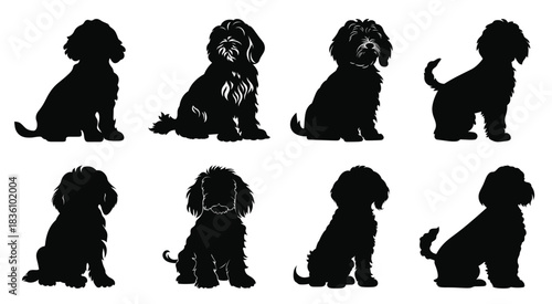 cockapoo dog silhouettes vector collection black silhouette