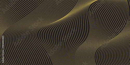 Luxury Gold Line Abstract Pattern on Black Background