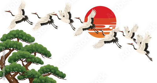 Cranes, illustration, with, flying, birds, sun, cloud, pine, tree, nature, harmony, migration, vector, content, cultural, peaceful, traditional, East, Asian, artwork, sunrise, symbolism