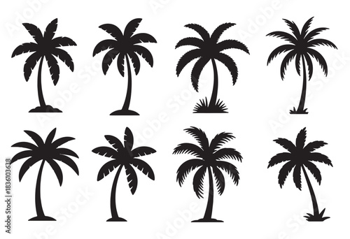 collection of diverse black silhouette palm tree