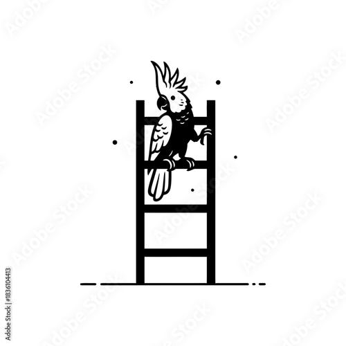 Minimal cockatoo trio perched interaction on dark background