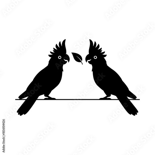 Three cockatoos silhouette resting on minimal platform levels