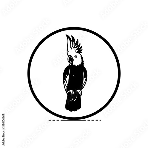 Cockatoo silhouette walking along minimal arrow path