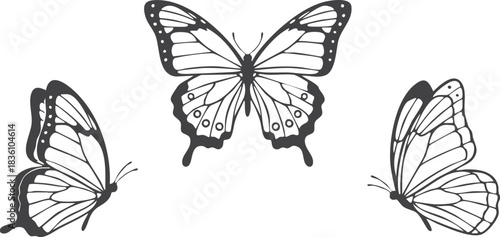 Set of Silhouette butterflies isolated vector illustration