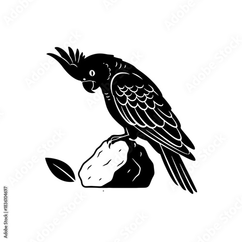 Cockatoo silhouette preening on simple rock formation