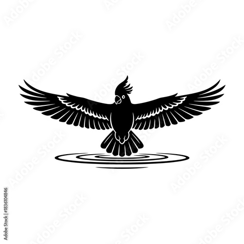 Cockatoo silhouette inside minimal cage door open