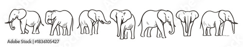  graceful elephant line art collection minimalist poses