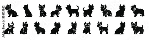 yorkshire terrier silhouette clipart bundle