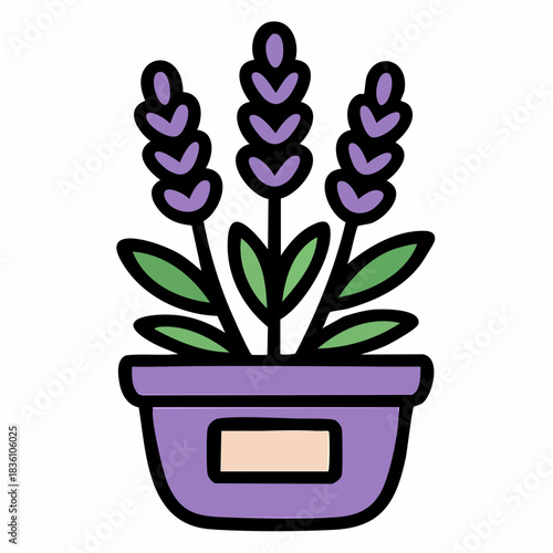 A stylized illustration of a lavender plant with three flower spikes in a purple pot with a label.