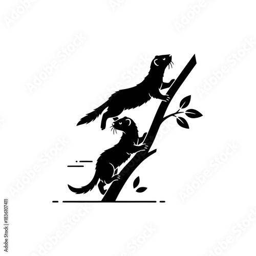 Two black and white ferrets climbing simple branch vector art