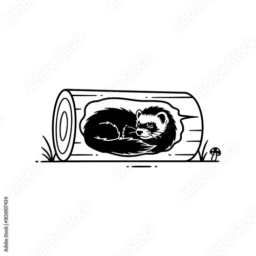 Three ferrets sleeping curled in a nest