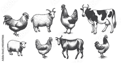 vintage farm animal illustrations