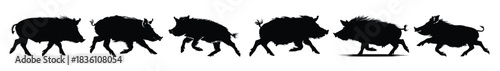 wild boar silhouette bundle