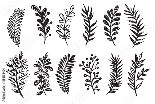 branches collection hand drawn vector