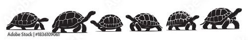 black illustration of a tortoise logo icon in silhouette