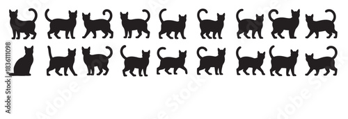 collection of black cat silhouettes in various poses against