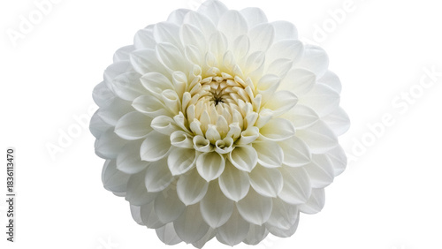 Fotografía Elegant white dahlia flower isolated PNG on transparent background, delicate flo