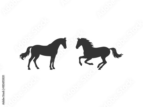horse silhouette in standing and running pose