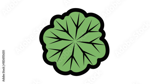 Overhead view of a stylized green plant with black outlines and leaf veins.