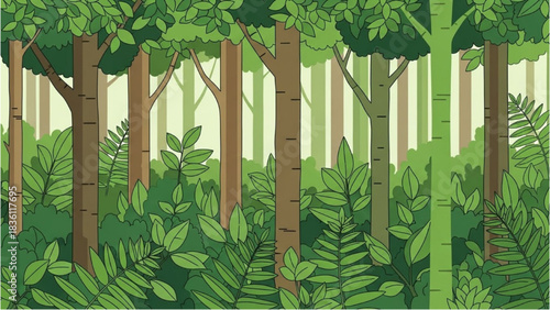 A lush green forest with tall trees and dense undergrowth