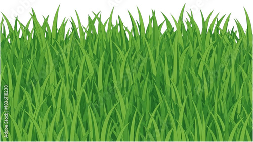 Vibrant green grass illustration offering a fresh and natural boundary for various digital and print designs