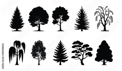Stunning collection of diverse black and white tree silhouettes for design projects