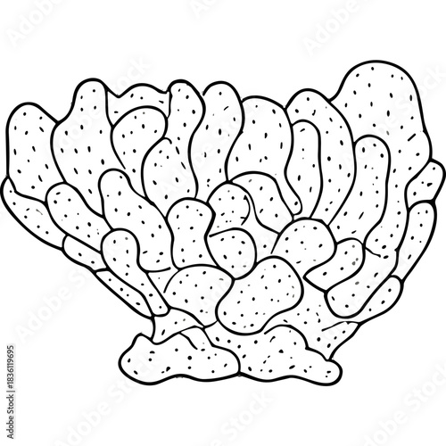 Black And White Line Art Drawing Of A Coral Formation On A Black Background Detailed Organic Texture And Structure