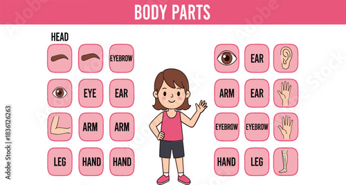 Educational Vector Illustration Chart for Learning Human Body Parts Featuring a Child Character and Labeled Diagrams of Head, Eye, Ear, Arm, Hand, and Leg for Kids' Science Lesson or Poster.