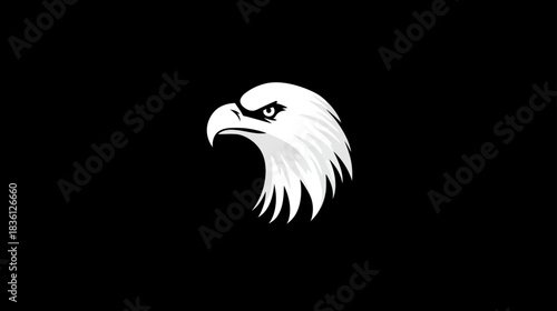 Striking White Eagle Head Illustration on Black Background, Majestic Bird of Prey Design Element - Power, Freedom, Vision