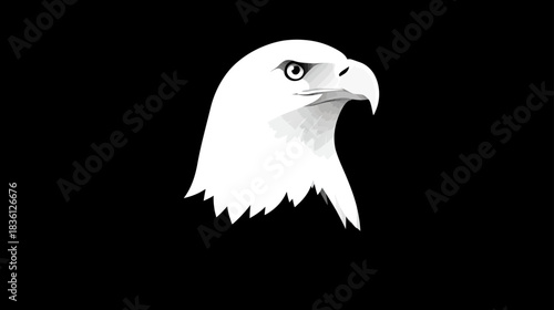 Proud White Eagle Head Illustration Profile on Black Background, Majestic Raptor Bird Symbol Vector Graphic Design Element