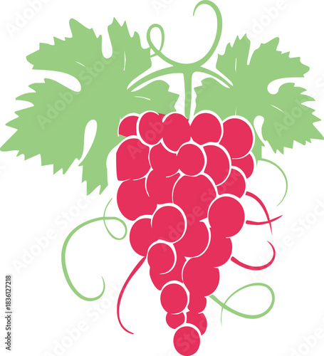 Vector illustration of a fresh bunch of ripe red grapes hanging on a grapevine branch with green leaves, suitable for winery or autumn agriculture design