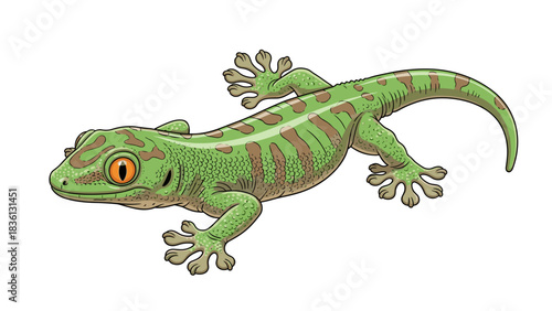 Colorful gecko resting calmly on white background with copy space
