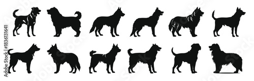 alabai dog silhouettes vector set dogs breed black