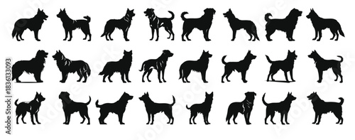 alabai dog silhouette clipart bundle
