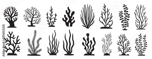 black coral reef and seaweed silhouette set on white background