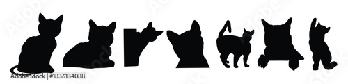 cat silhouttes vector