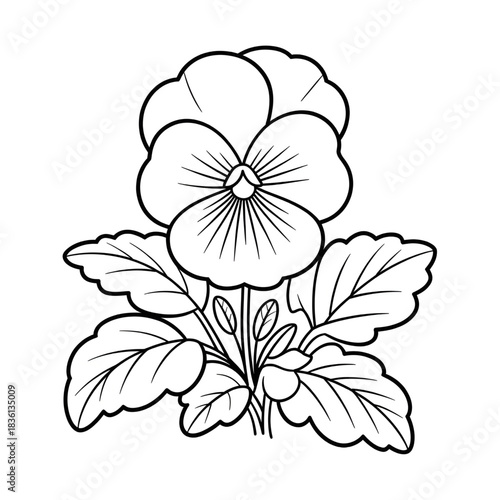 pansy  flower coloring page line art