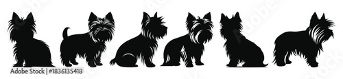 yorkshire terrier dog silhouettes vector set silhouette