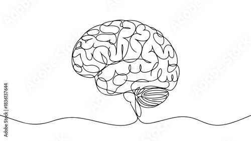 A stark black and white minimalist line drawing of the human brain showcasing intricate neural pathways and anatomical details