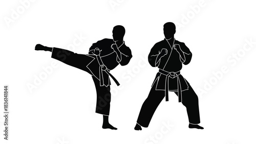 Two martial artists practicing a kata demonstrating dynamic movement and balance