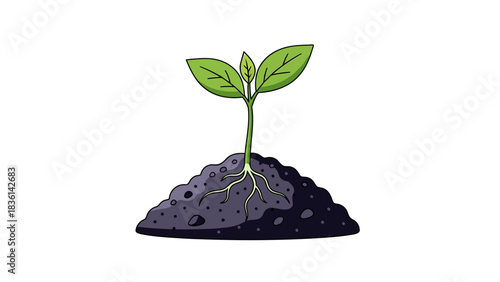 A stylized drawing of a small green seedling emerging from a mound of dark soil with visible white roots
