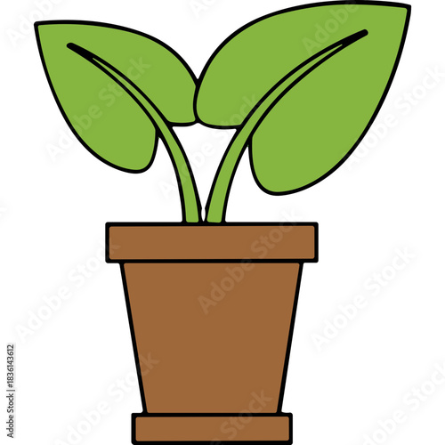 Green Potted Plant With Large Leaves In A Brown Clay Pot On A Black Background With Soft Lighting Ideal For Home Decor And Gardening Concepts