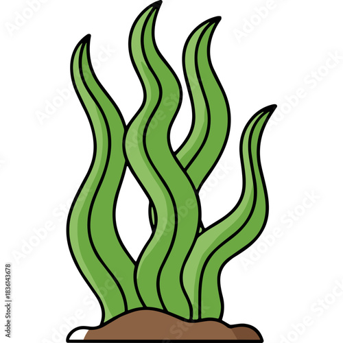 Green Seaweed Plant In The Ocean Floor Isolated On Black Background Detailed Illustration