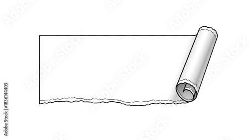 Rolled-up torn paper with a blank space for text or design elements