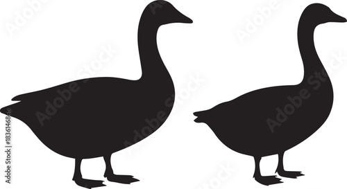 Goose vector illustration, black and white silhouette, isolated bird, minimal wildlife and nature design, flying or standing waterfowl concept