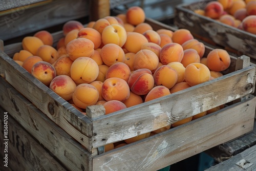 Superbe photo de fruits et légumes