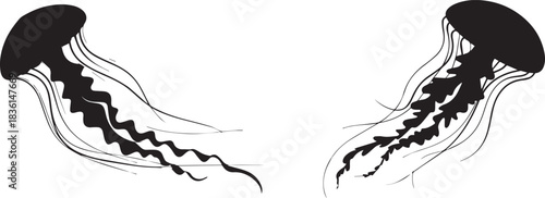 Jellyfish vector illustration, isolated black and white design of underwater marine animal, ocean wildlife, and aquatic nature concept