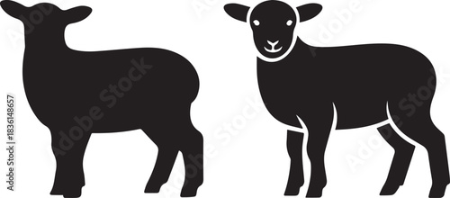 Sheep silhouette or vector illustration, isolated black and white of domestic farm animal, pasture, and livestock concepts